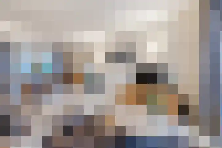 van Riebeeckstraat 29 Dongen thumbnail 7