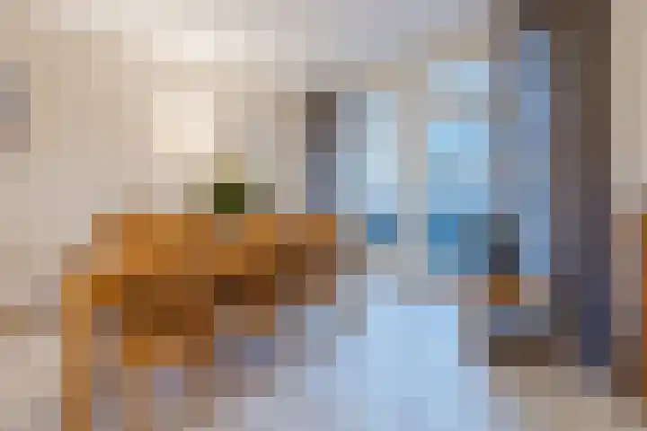 van Riebeeckstraat 29 Dongen thumbnail 9