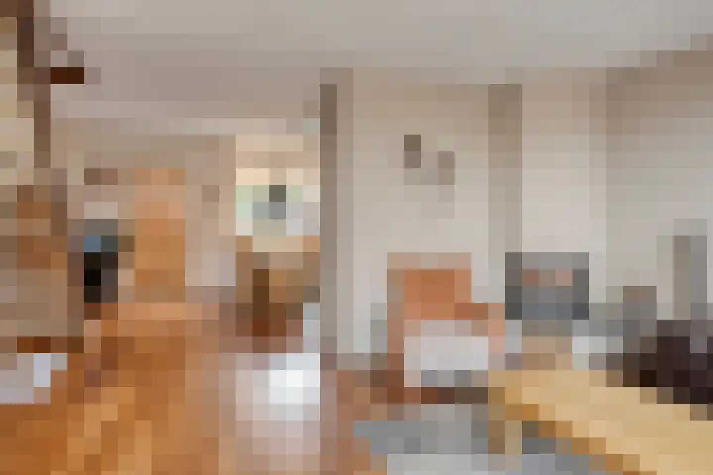 van Riebeeckstraat 35 Vaassen thumbnail 11