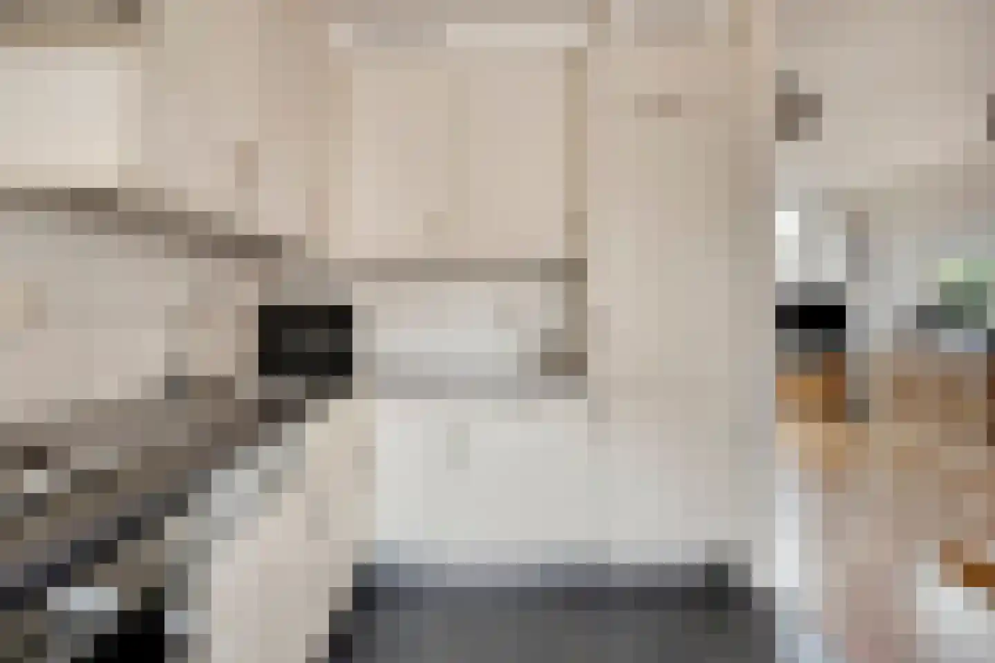 van Riebeeckstraat 35 Vaassen thumbnail 17