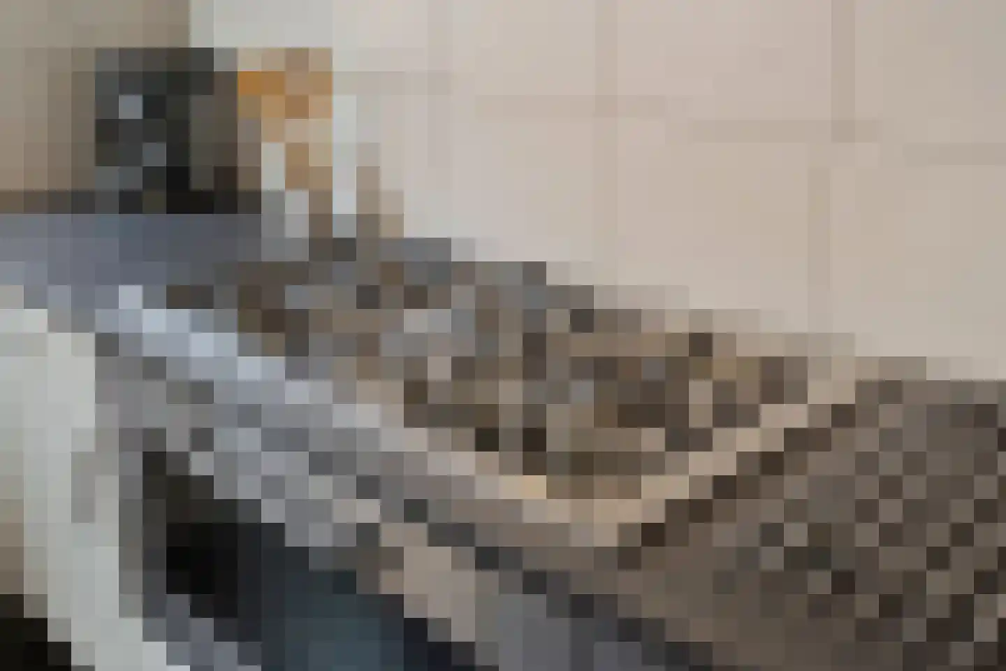 van Riebeeckstraat 35 Vaassen thumbnail 18
