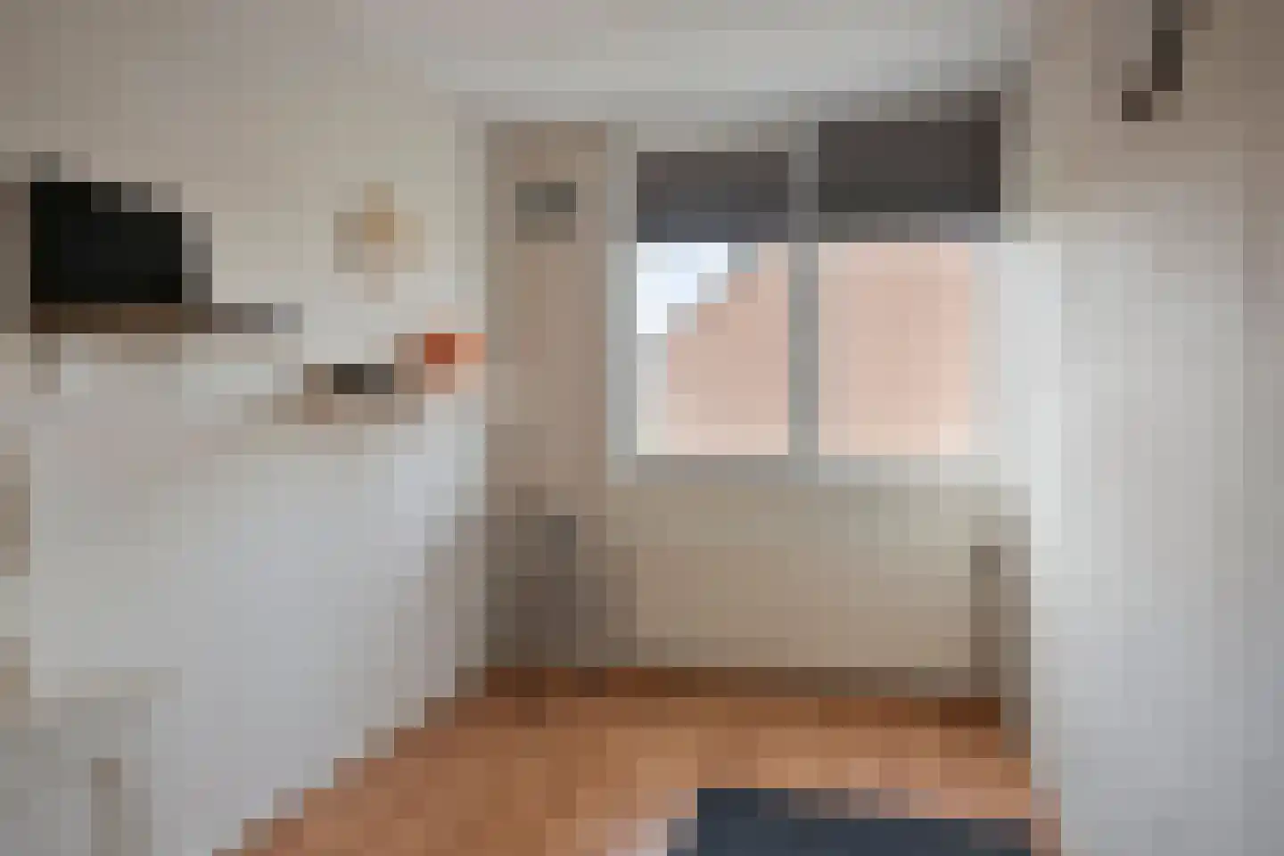 van Riebeeckstraat 35 Vaassen thumbnail 24