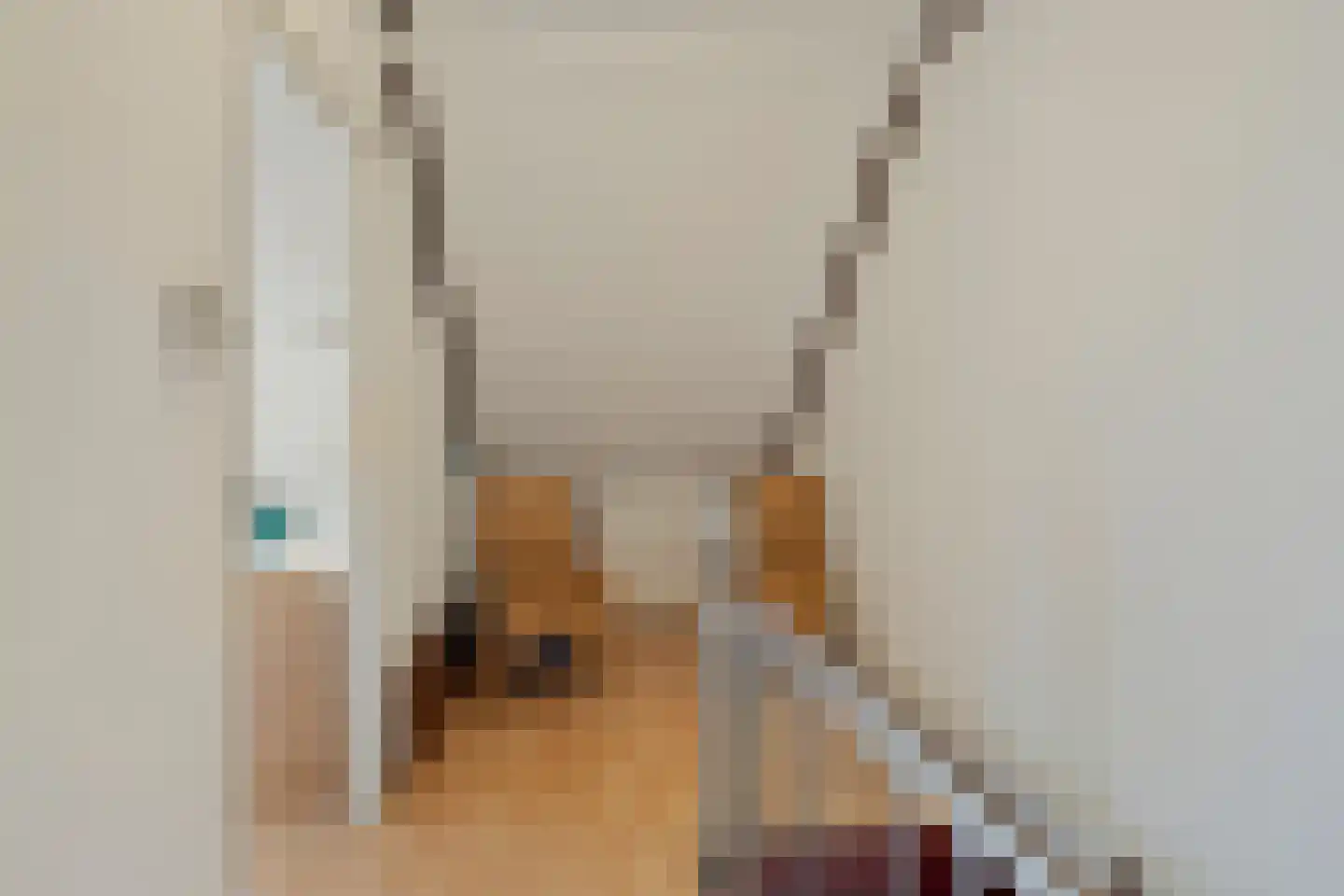 van Riebeeckstraat 35 Vaassen thumbnail 32