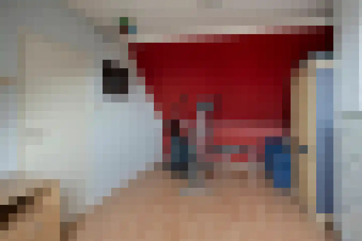 van Riebeeckstraat 35 Vaassen thumbnail 34