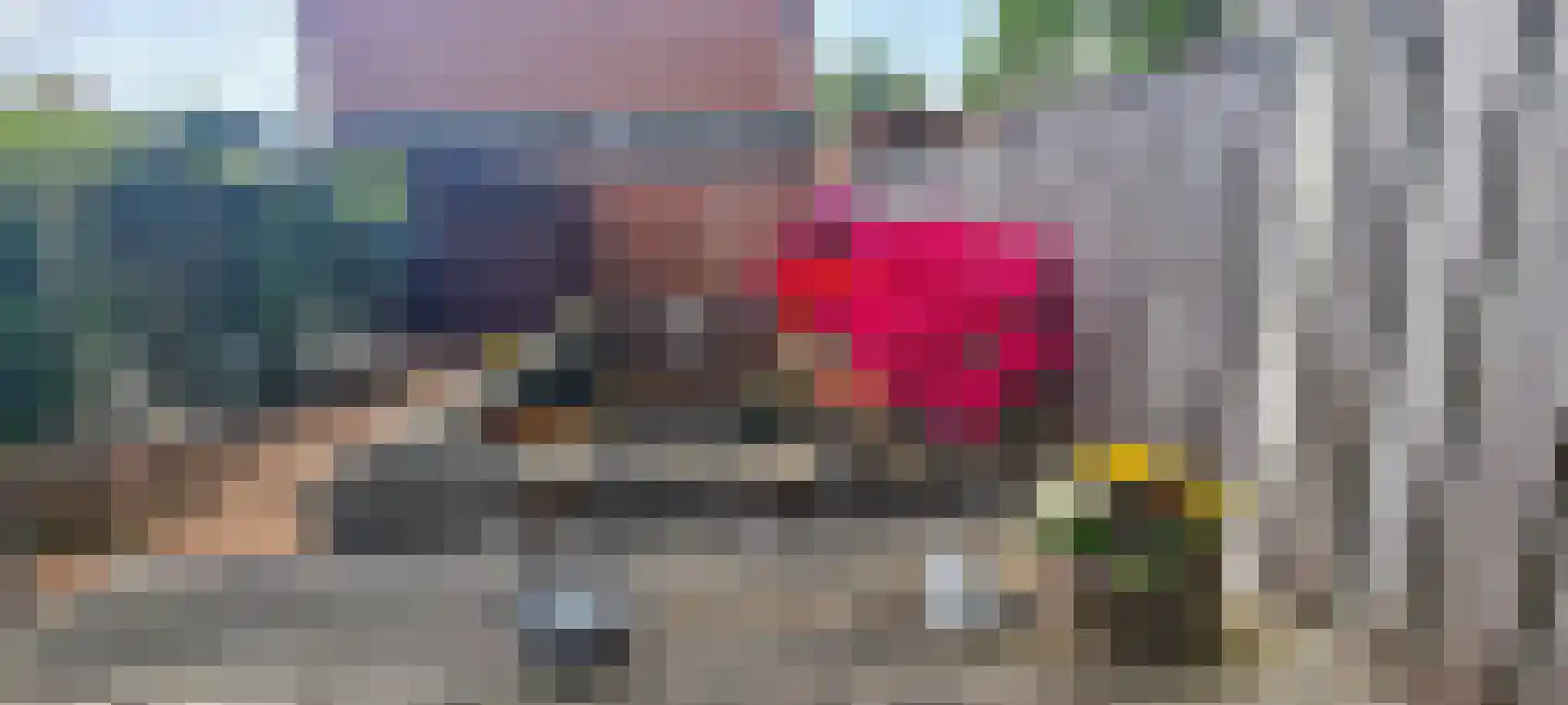 van Riebeeckstraat 35 Vaassen thumbnail 35