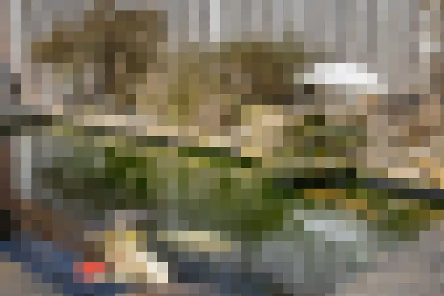 van Riebeeckstraat 35 Vaassen thumbnail 37