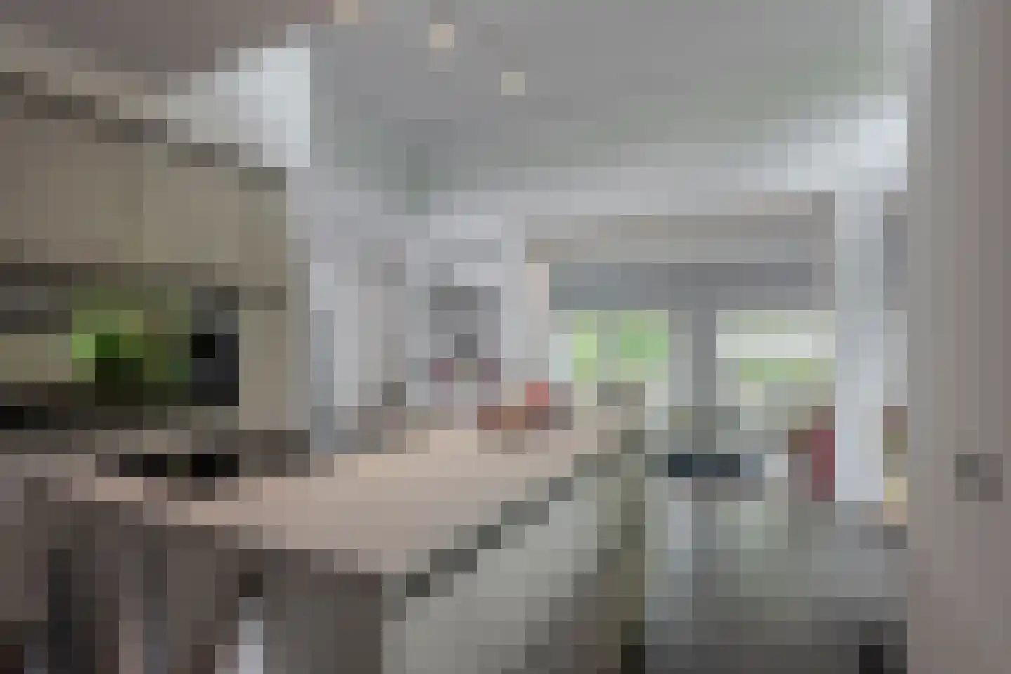 Van Riebeeckstraat 36 Barneveld thumbnail 32