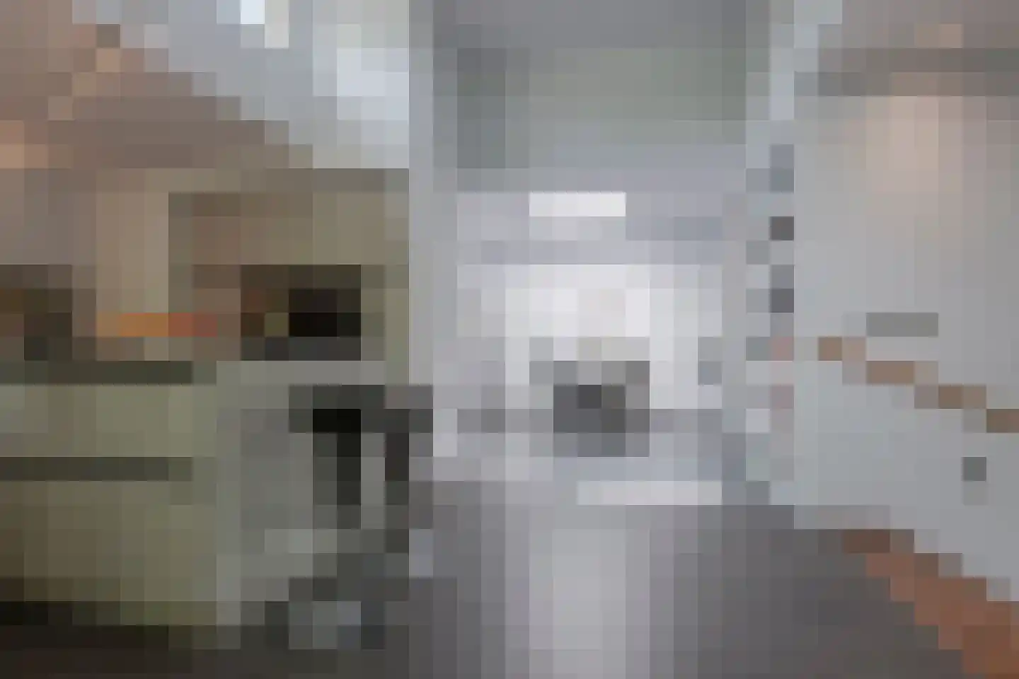 Van Riebeeckstraat 36 Barneveld thumbnail 34