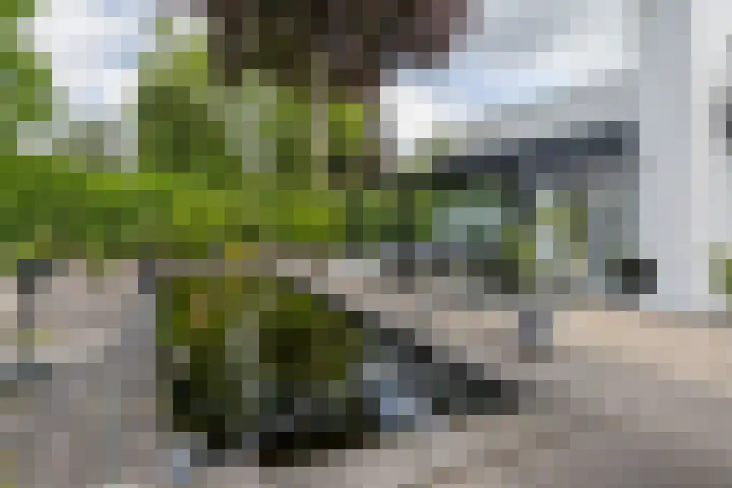 Van Riebeeckstraat 36 Barneveld thumbnail 57