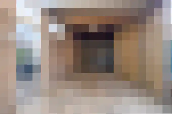 van Riebeeckstraat 4 Vaassen thumbnail 36