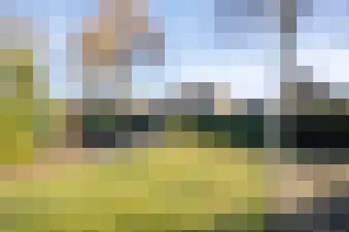 van Riebeeckstraat 4 Vaassen thumbnail 38