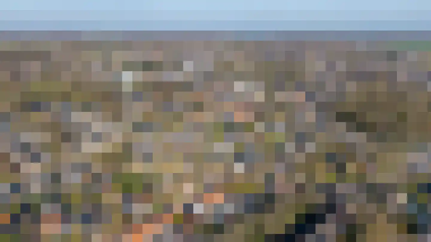 van Riebeeckstraat 4 Vaassen thumbnail 4