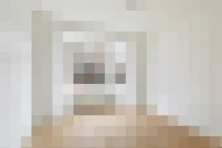 van Riebeeckstraat 47 Vlaardingen thumbnail 4
