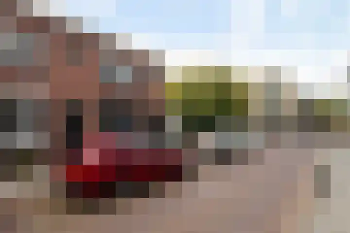 van Riebeeckstraat 69 Vlaardingen thumbnail 4