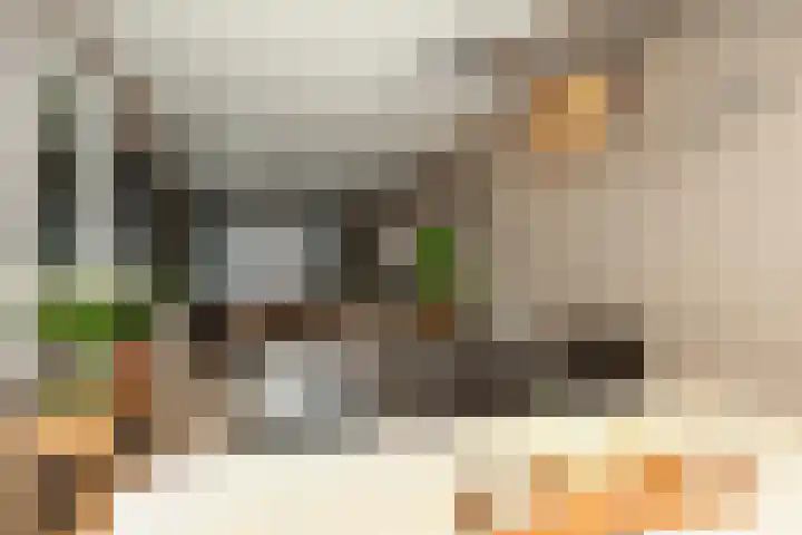 van Riebeeckstraat 69 Vlaardingen thumbnail 7