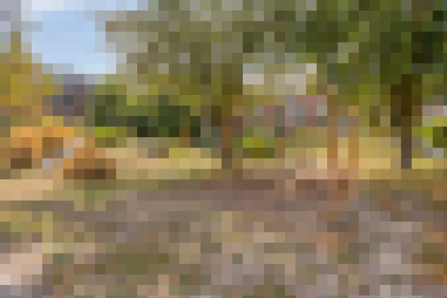 Van Riebeeckweg 101 Hilversum thumbnail 26