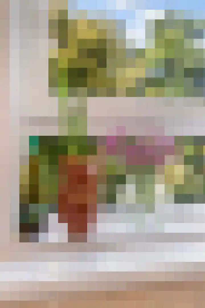 Van Riebeeckweg 115 Hilversum thumbnail 11