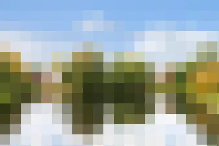 Van Riebeeckweg 115 Hilversum thumbnail 21