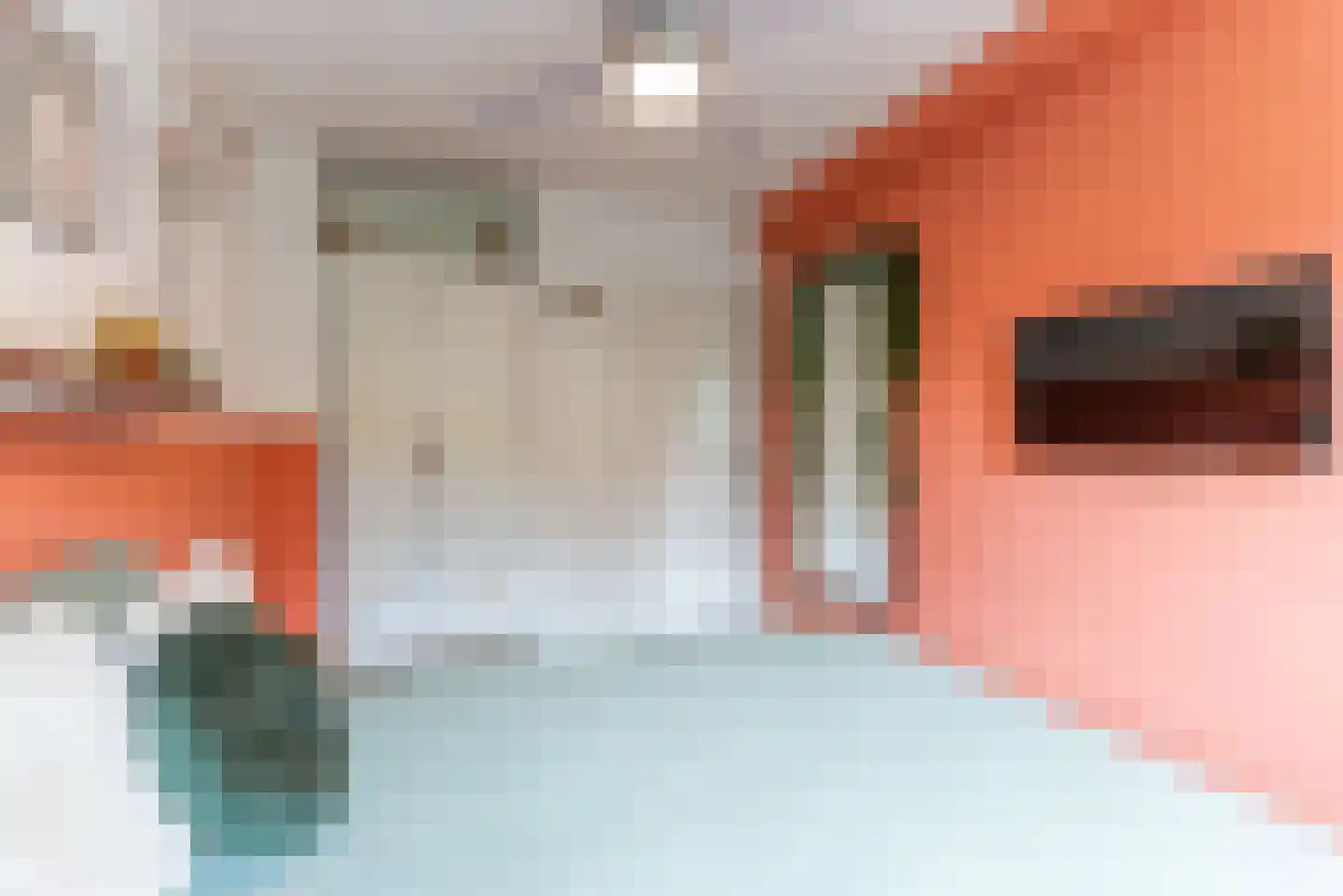 Van Riebeeckweg 117 Hilversum thumbnail 19