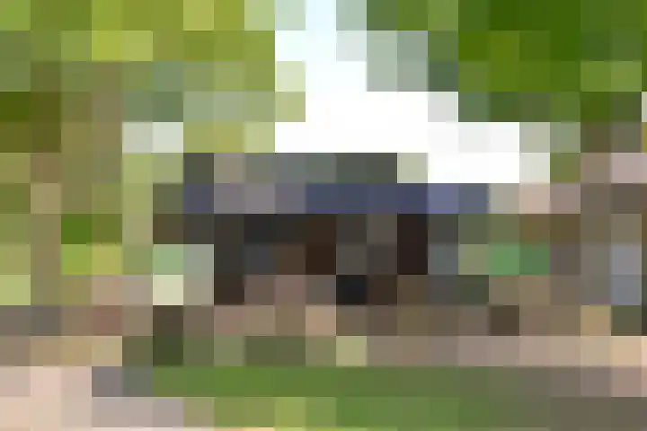Van Riebeeckweg 131 Hilversum thumbnail 16