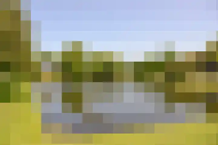 Van Riebeeckweg 131 Hilversum thumbnail 17