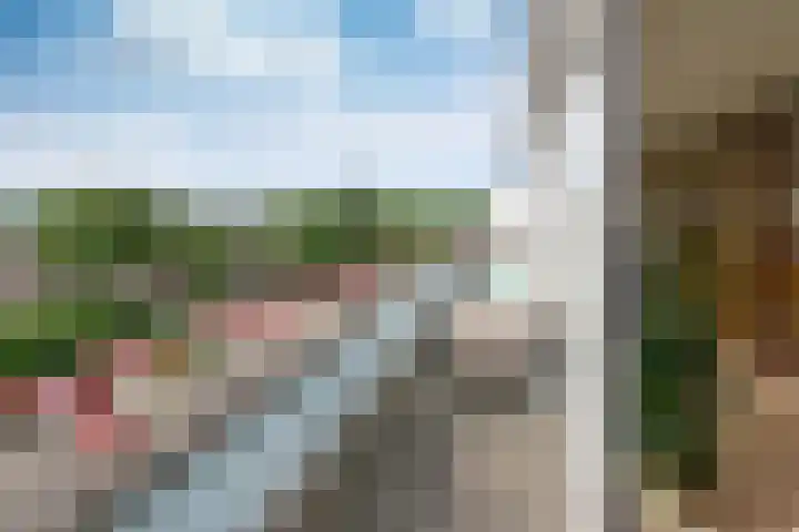 Van Riebeeckweg 15 B Hilversum thumbnail 5