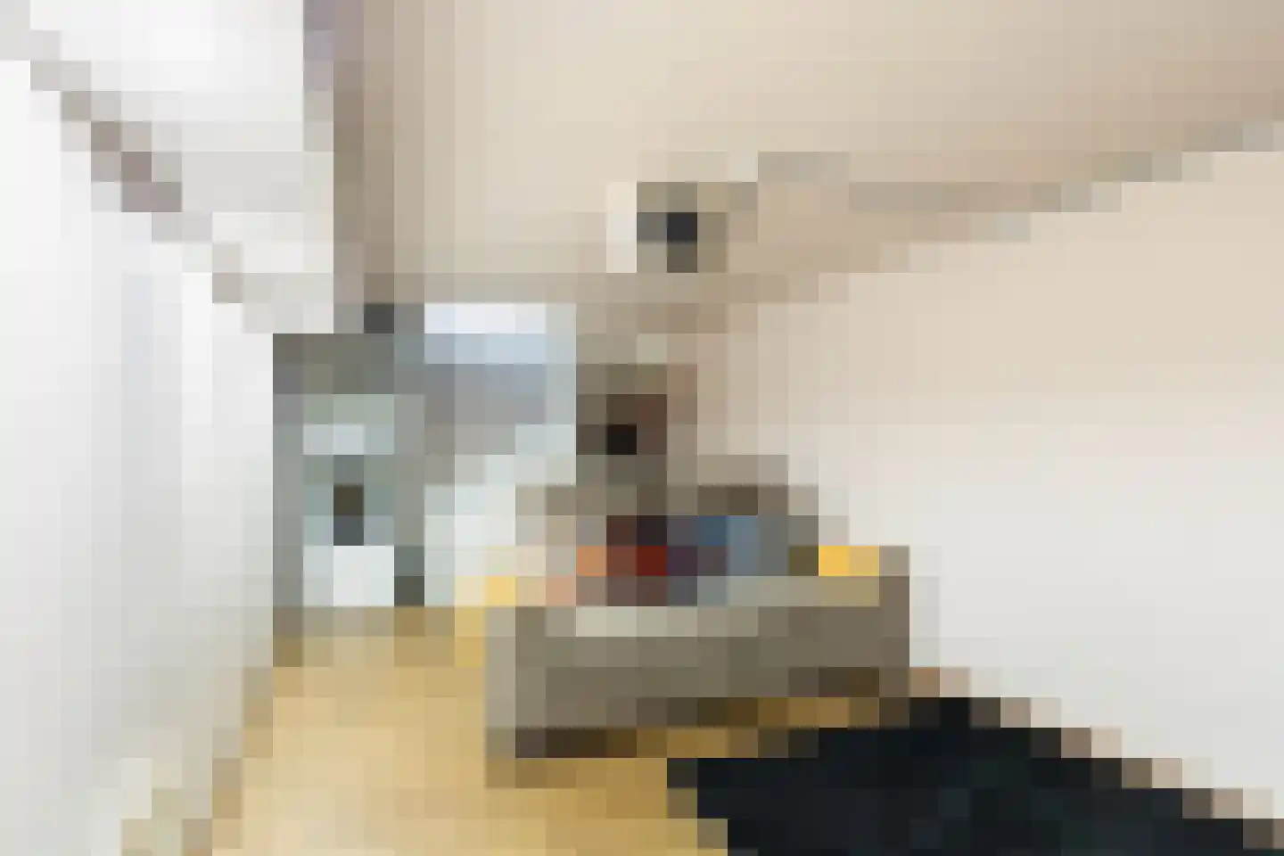 Van Riebeeckweg 24 Hilversum thumbnail 19