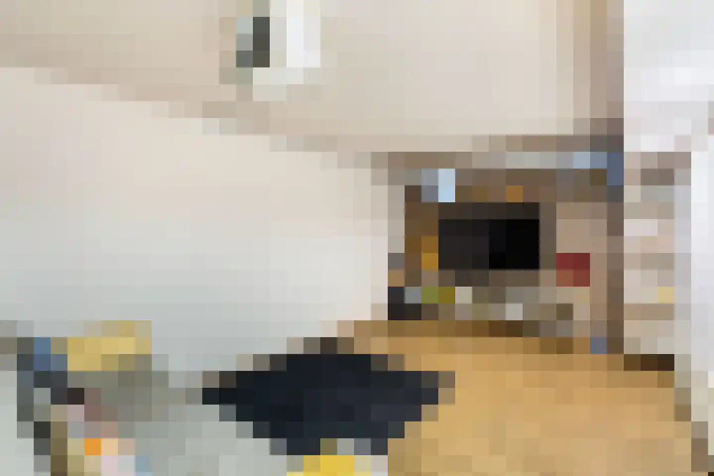 Van Riebeeckweg 24 Hilversum thumbnail 20