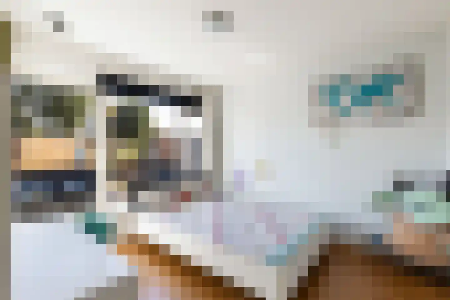 Van Riebeeckweg 24 Hilversum thumbnail 27