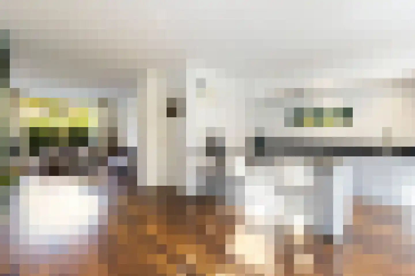 Van Riebeeckweg 24 Hilversum thumbnail 8