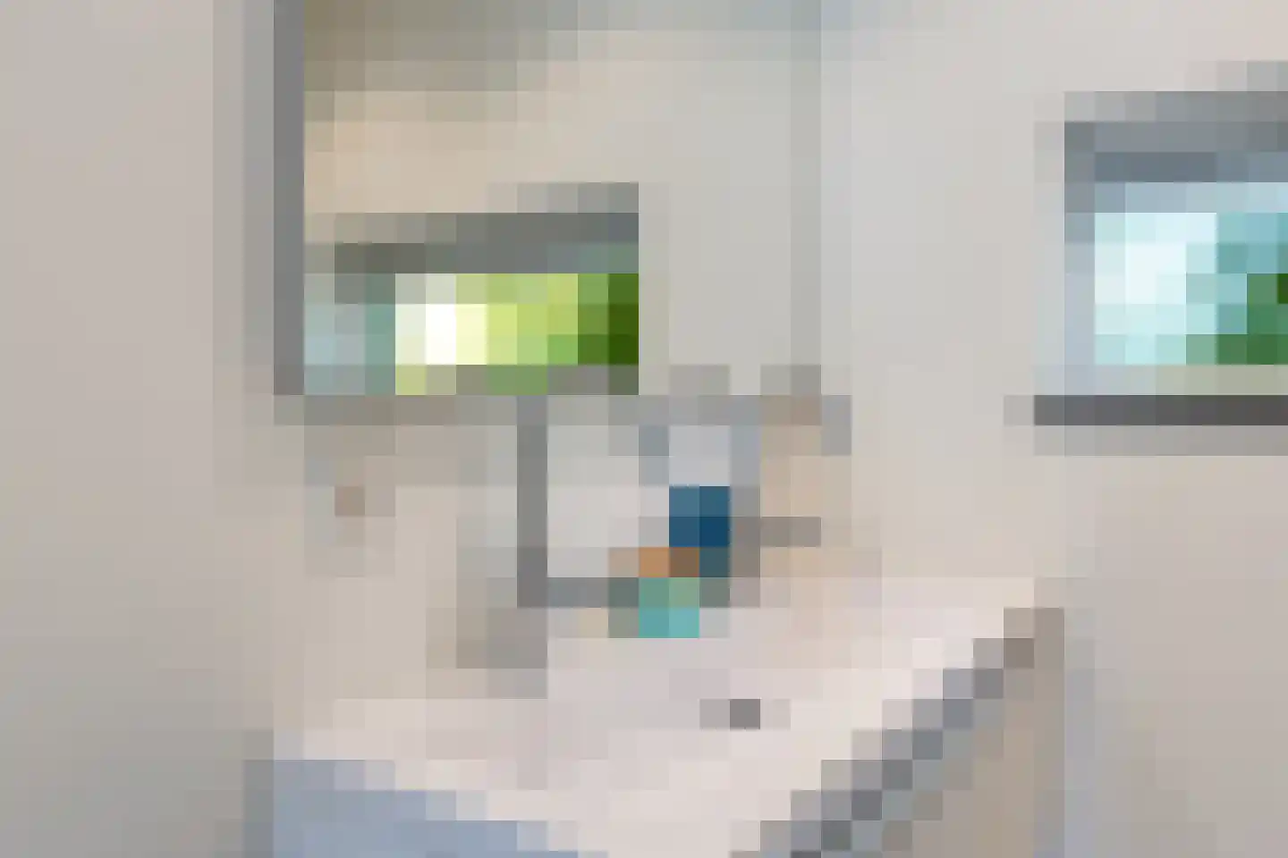 Van Riebeeckweg 30 Hilversum thumbnail 19