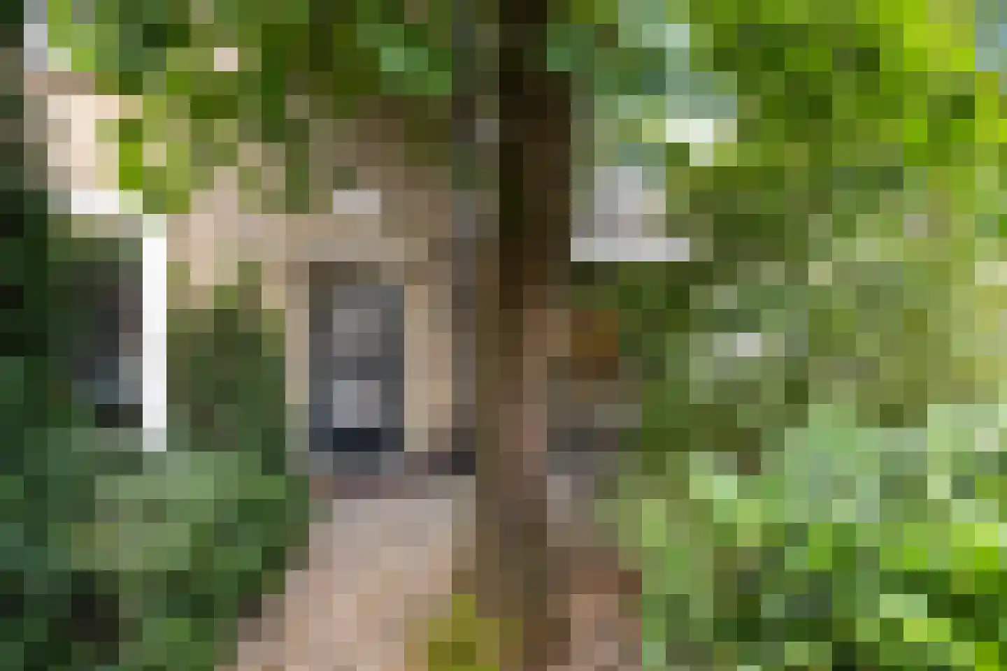 Van Riebeeckweg 30 Hilversum thumbnail 7