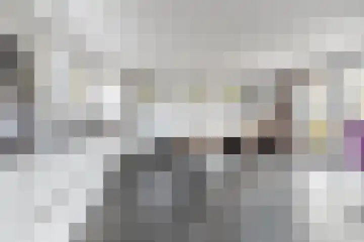 Van Riebeeckweg 38 Hilversum thumbnail 11