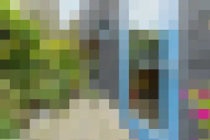 Van Riebeeckweg 38 Hilversum thumbnail 30