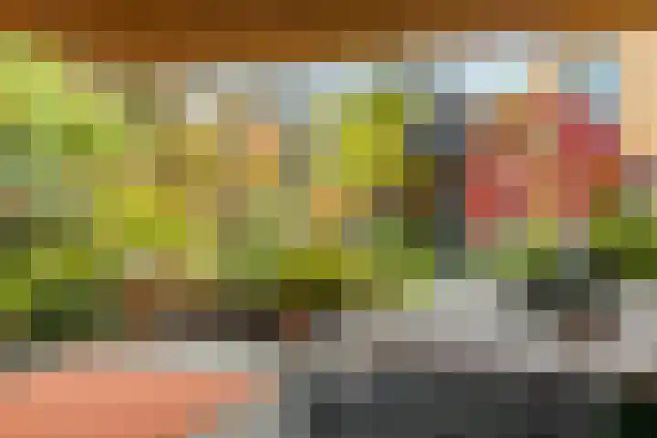 Van Riebeeckweg 38 Hilversum thumbnail 32