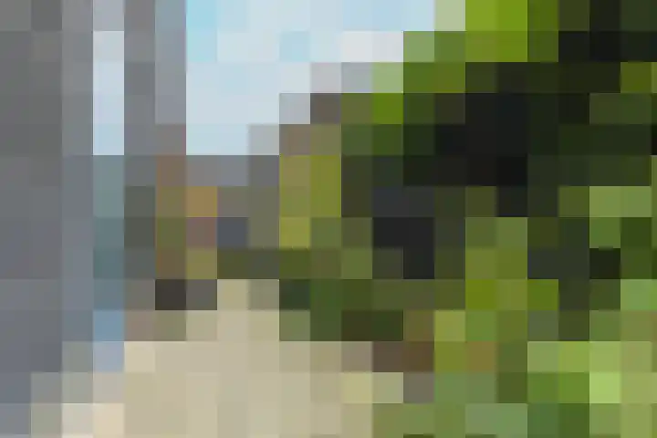 Van Riebeeckweg 38 Hilversum thumbnail 34