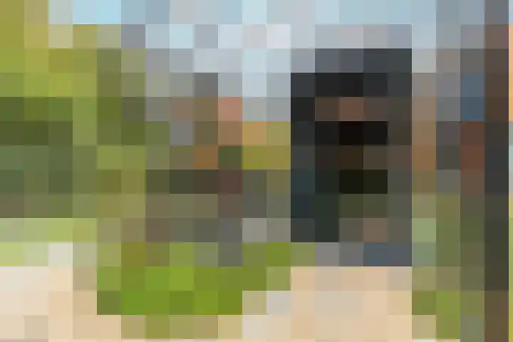 Van Riebeeckweg 38 Hilversum thumbnail 36