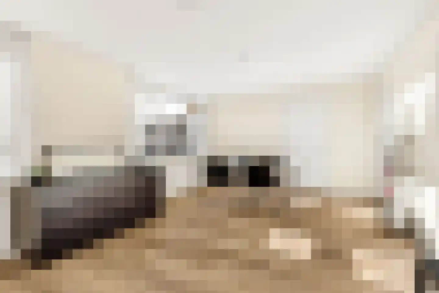 Van Riebeeckweg 43 B Hilversum thumbnail 17