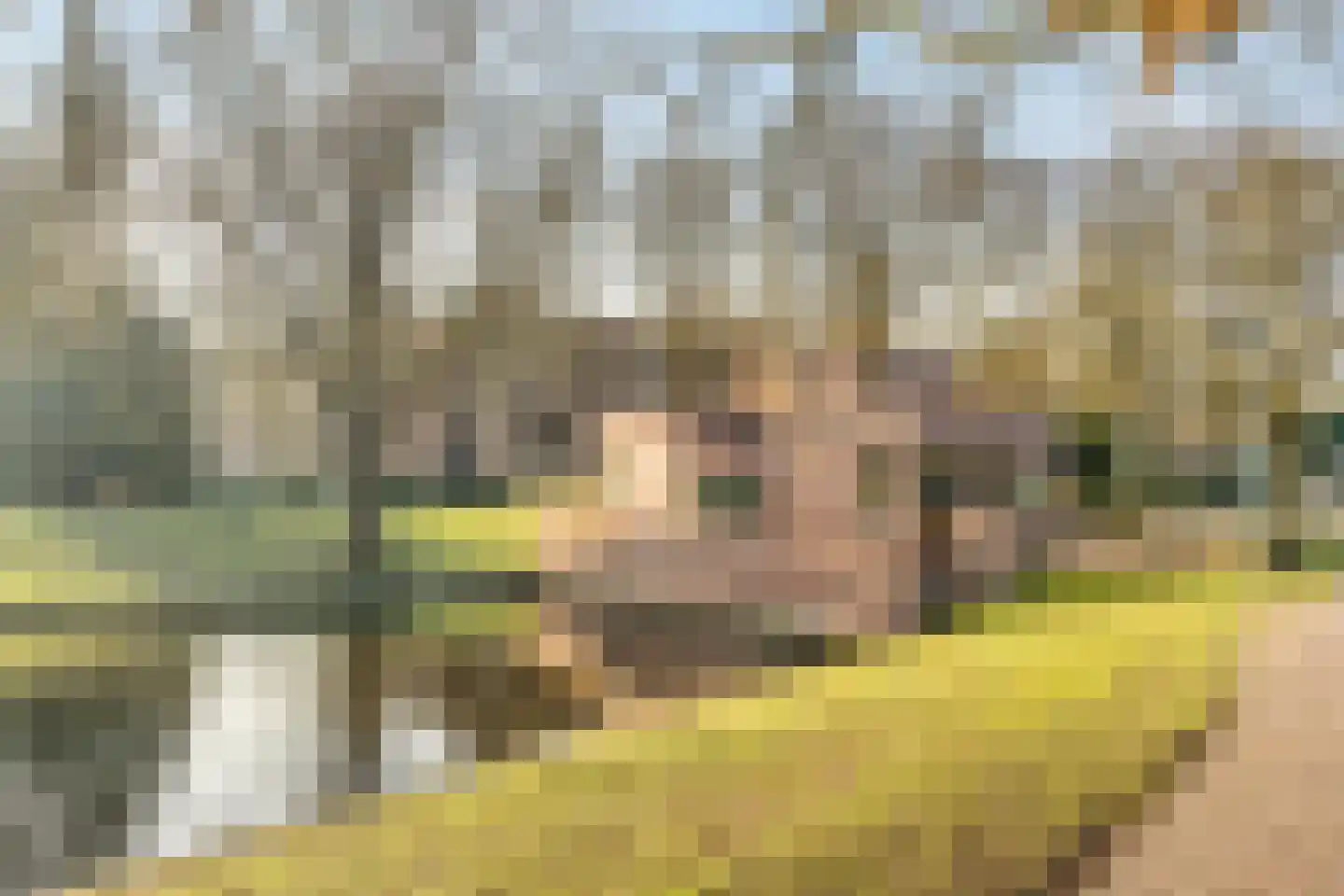 Van Riebeeckweg 43 B Hilversum thumbnail 31