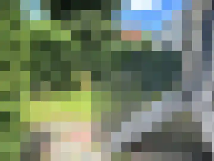 Van Riebeeckweg 55 Hilversum thumbnail 15