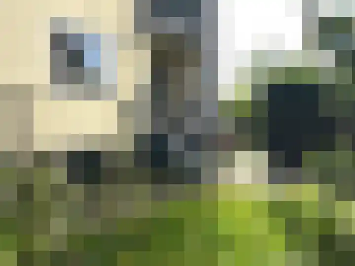 Van Riebeeckweg 55 Hilversum thumbnail 17