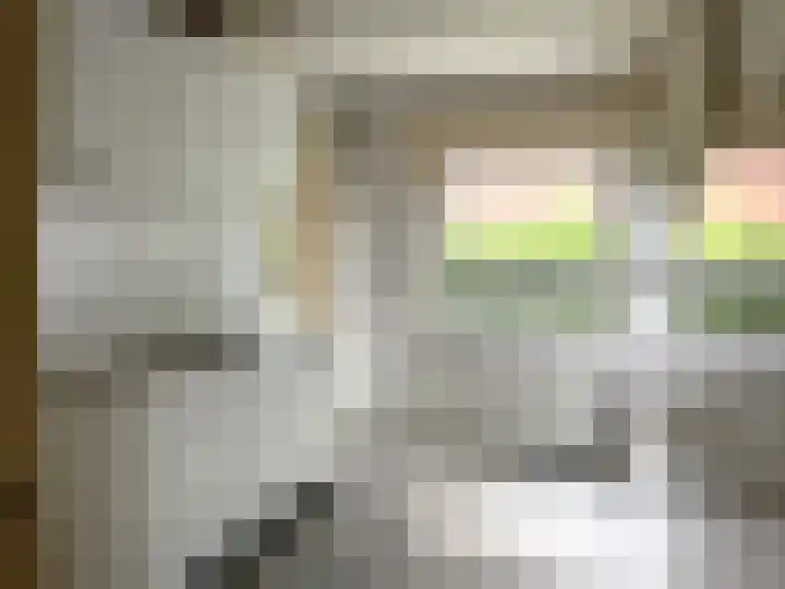 Van Riebeeckweg 55 Hilversum thumbnail 8