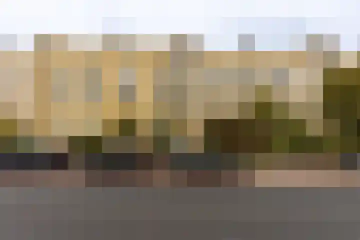 Van Riebeeckweg 79 Hilversum thumbnail 4