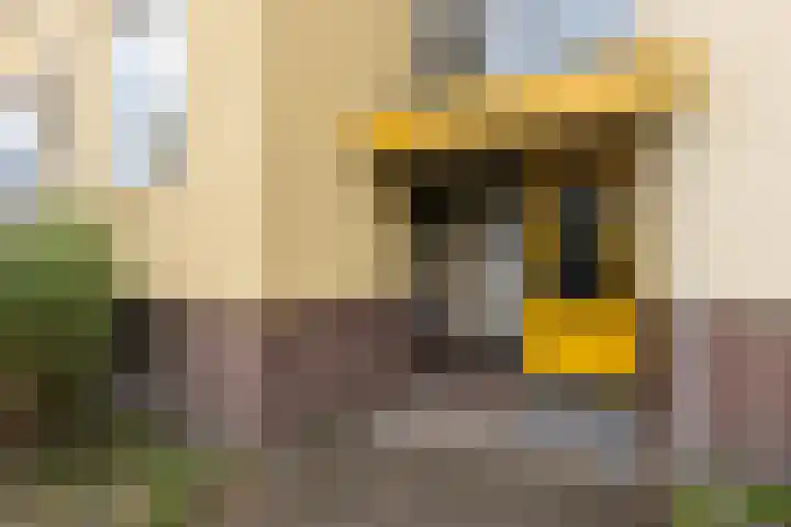 Van Riebeeckweg 79 Hilversum thumbnail 5