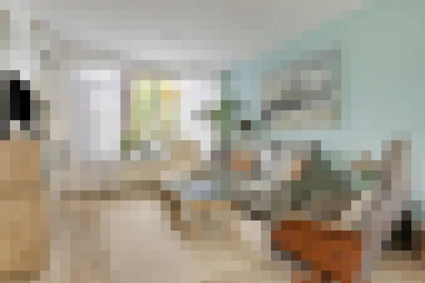 Van Riebeekstraat 28 Ridderkerk thumbnail 11