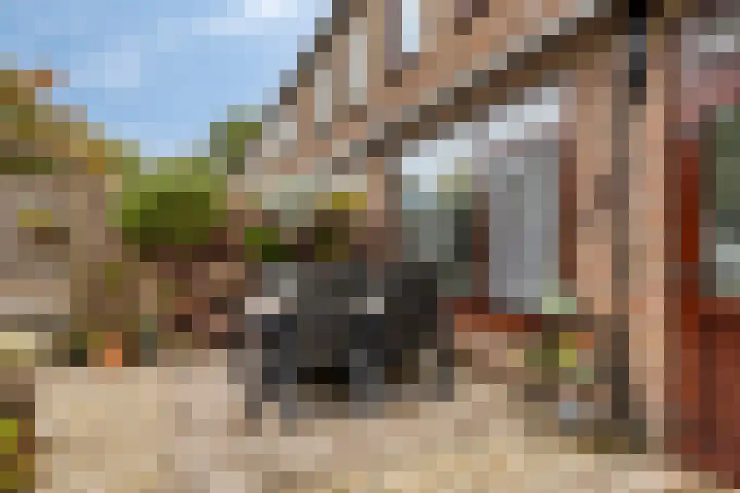 Van Riebeekstraat 28 Ridderkerk thumbnail 37