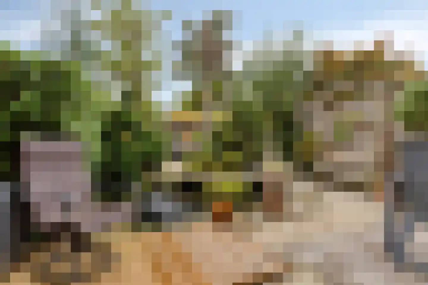 Van Riebeekstraat 28 Ridderkerk thumbnail 38