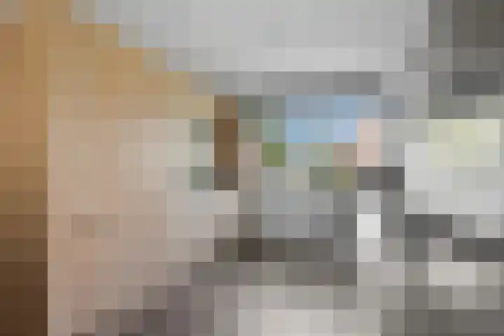 Van Riebeekstraat 37 Ridderkerk thumbnail 11