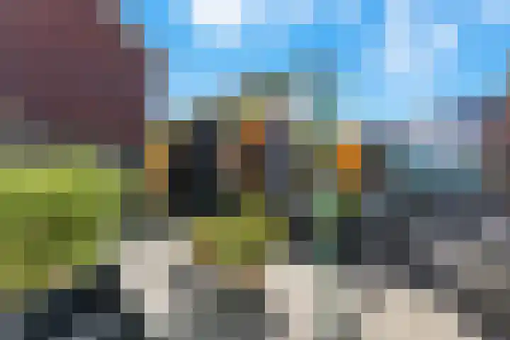 Van Riebeekstraat 37 Ridderkerk thumbnail 35