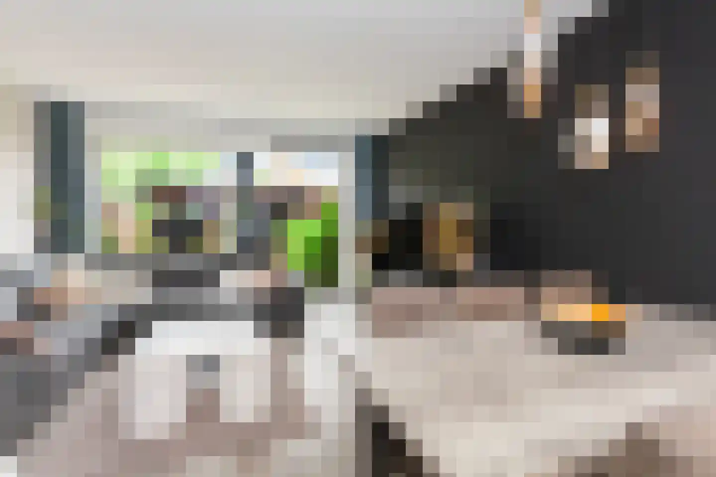 Van Riebeekstraat 65 Ridderkerk thumbnail 9